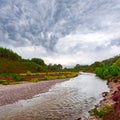 Scottish landscape scenery with violet heather flowers and shall Royalty Free Stock Photo