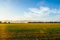 Scottish Lowlands panorama