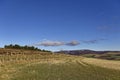 A Scottish minor Road passing through the Fields of the Hill Farms in the rolling Countryside of Glen Lethnot. Royalty Free Stock Photo