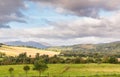 Scotland Hillside with Horses , Mountains and Trees