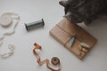 Scottish straight tabby cat with items for sewing and a gift