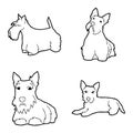 Scottish Terrier Animal Vector Illustration Hand Drawn Cartoon Art Royalty Free Stock Photo