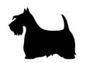 Scottish terrier dog. Vector black silhouette. Royalty Free Stock Photo