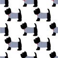 Scottish terrier in a sailor t-shirt seamless pattern. Cute dogs on white background illustration.