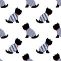 Scottish terrier in a sailor t-shirt seamless pattern. Sitting dogs on white background illustration.