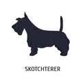 Scottish Terrier or Scottie. Adorable small dog of hunting breed, side view. Cute lovely little purebred pet animal Royalty Free Stock Photo