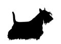 Scottish Terrier vector silhouette illustration isolated on white background. Dog shape shadow. Lovely pet. Aberdeen terrier dog. Royalty Free Stock Photo