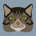 Scottish wildcat head vector illustration flat Royalty Free Stock Photo