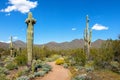 Scottsdale Arizona Desert Trail in McDowell Mountains Royalty Free Stock Photo