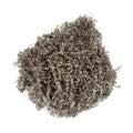 Scourer isolated Royalty Free Stock Photo