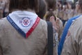 Scouts making the three-finger salute on celebration of Velvet Revolution