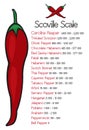 Scoville heat scale vectorScoville pepper heat scale vector