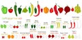 Scoville pepper heat scale. Pepper illustration from sweetest to very hot. Royalty Free Stock Photo