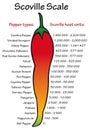 Scoville pepper heat scale vector