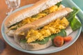 Scrambled egg sandwich - Two bread rolls with scrambled egg and Royalty Free Stock Photo