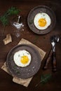 Scrambled eggs with dill on a  plate Royalty Free Stock Photo