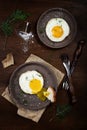 Scrambled eggs with dill on a  plate Royalty Free Stock Photo