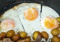 Scrambled eggs and fried potatoes in a pan Royalty Free Stock Photo