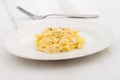 Scrambled eggs plate Royalty Free Stock Photo