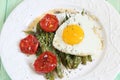 Scrambled eggs with tomatoes and green beans on green wooden background Royalty Free Stock Photo