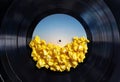 scrambled eggs on a vinyl record arranging scrambled eggs on a s strange old Royalty Free Stock Photo
