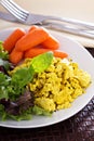 Scrambled tofu with salad leaves for breakfast Royalty Free Stock Photo