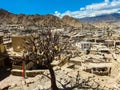 Views of the provincial capital of Leh