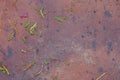 Scrap of leaves and flowers on the old red cement floor . Royalty Free Stock Photo