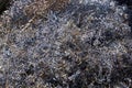 Scrap Metal Shavings Industry Background Royalty Free Stock Photo