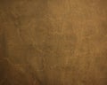 Scraped leathery textured golden brown background Royalty Free Stock Photo