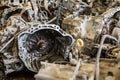 Scrapheap of car transmission