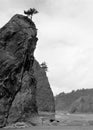 Scrappy trees cling to barren rocks jutting from coastline