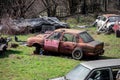 Scrapyard on a former garden full of old abandoned cars Royalty Free Stock Photo