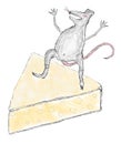 A scratch of a mouse on a piece of cheese