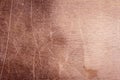 Scratched dirty dusty copper plate texture, old metal background Royalty Free Stock Photo