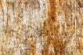 Scratched and dirty surface of a sheet of birch plywood. Natural wood texture. Abstract background Royalty Free Stock Photo