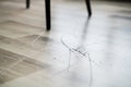 Scratched Laminate Floor Damage Royalty Free Stock Photo