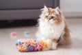 scratching post with colorful plush toy for cat