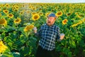 screaming funny senior farmer having fun in the sunflower field Royalty Free Stock Photo