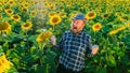 screaming funny senior farmer having fun in the sunflower field Royalty Free Stock Photo