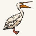 Screaming pelican colorful detailed sticker Royalty Free Stock Photo