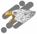White head eagle in logo design
