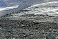 Scree and rock debris covering the glacier Hohlaubgletscher