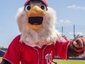 Screech Mascot Washington Nationals Baseball