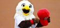 Screech Washington Nationals mascot