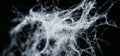 The screen displays a black background with white, thin, and long spider webs hanging from the left and right edges. Royalty Free Stock Photo