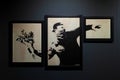 Screen print titled Thrower - Gray by Banksy, Salone degli Incanti. Trieste