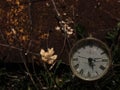 Screensaver background with clock and rust