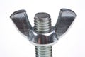 bolt and wing nut Royalty Free Stock Photo