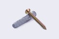 Screw and dowel. Royalty Free Stock Photo